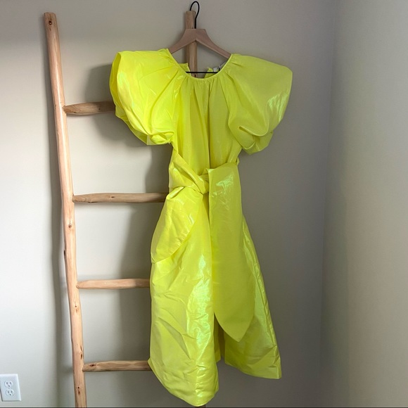 Christopher John Rogers Puff Sleeve Volume Dress - Picture 9 of 12